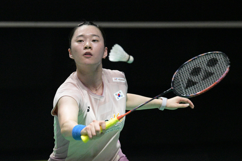 的快速推进 的快速推进